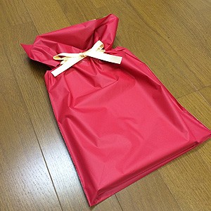 bag_ribbon_300